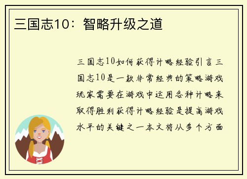 三国志10：智略升级之道